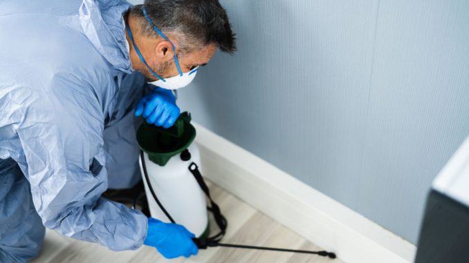 Affordable Pest Control Services: Budget-Friendly Solutions
