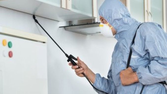 Pest Control Sydney: How to Keep Your Warehouse Pest-Free