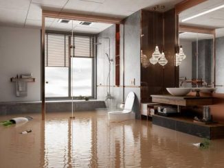 Water Damage Restoration: Step-by-Step Process